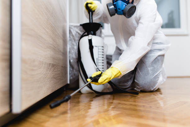 Best Best Pest Control Companies  in Nuevo, CA