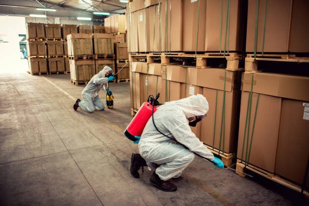 Best Bed Bug Extermination  in Nuevo, CA