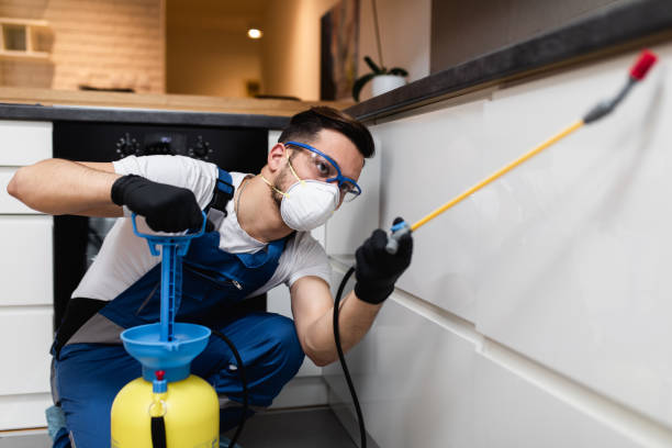 Best Commercial Pest Control Services  in Nuevo, CA
