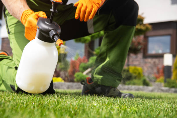 Best Insect Control  in Nuevo, CA