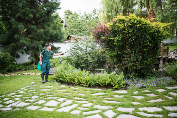 Best Best Pest Control Companies  in Nuevo, CA
