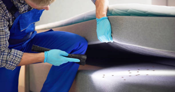 Professional Pest Control in Nuevo, CA
