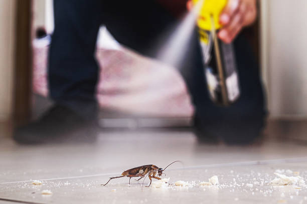 Best Residential Pest Control  in Nuevo, CA