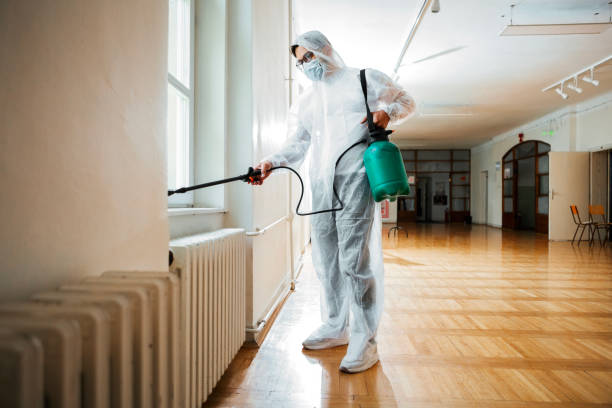 Best Affordable Pest Control Services  in Nuevo, CA