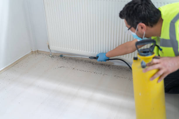 Best Wasp Removal Services  in Nuevo, CA