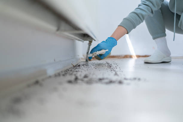 Best Pest Control Near Me  in Nuevo, CA